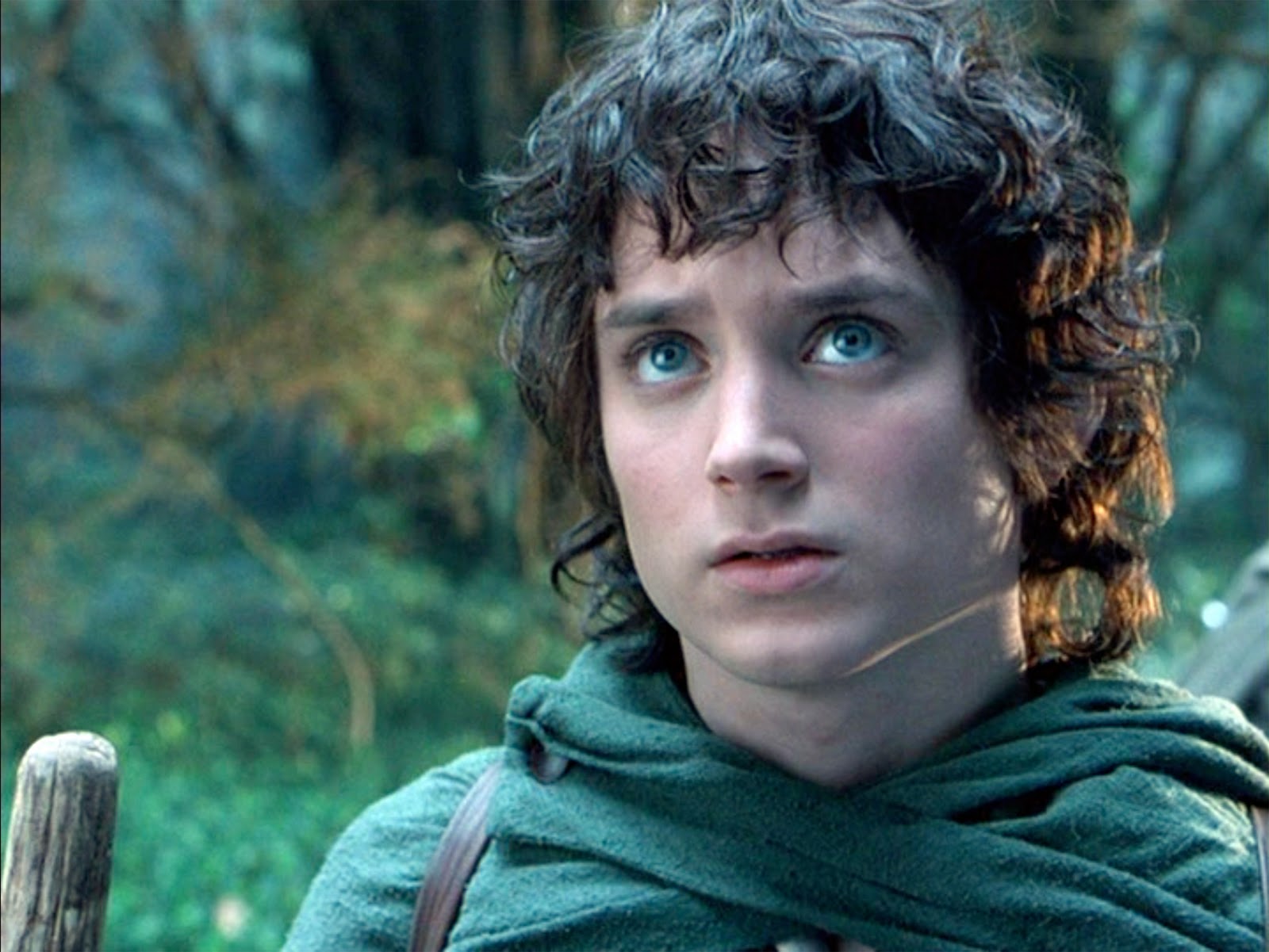 Frodo's Quest